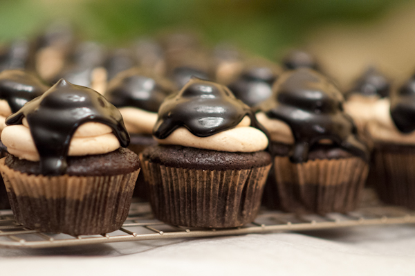 peanut butter hot fudge cupcakes - life with the lushers