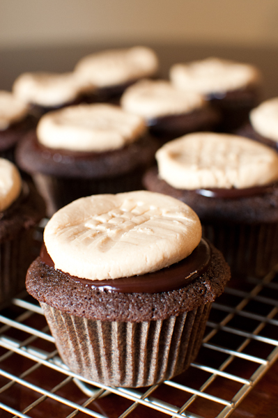 chocolate cupcakes with peanut butter cookie frosting